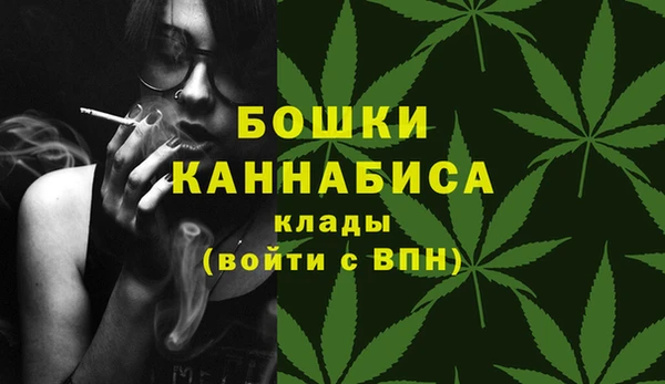 Альфа ПВП Медногорск