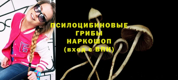 кокс Михайлов