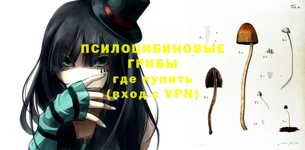 ГАЛЛЮЦИНОГЕННЫЕ ГРИБЫ Михайловка